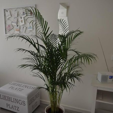 Lieblingsplatz Apartement Am Steinhuder Meer ヴンストルフ エクステリア 写真