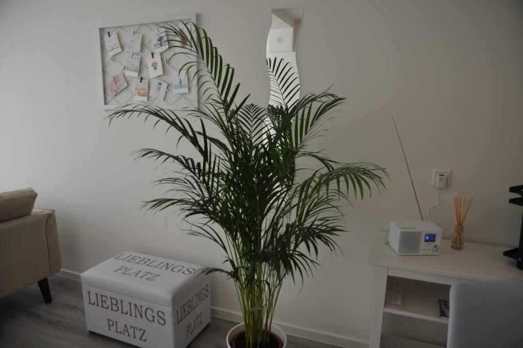 Lieblingsplatz Apartement Am Steinhuder Meer ヴンストルフ エクステリア 写真